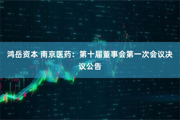 鸿岳资本 南京医药：第十届董事会第一次会议决议公告