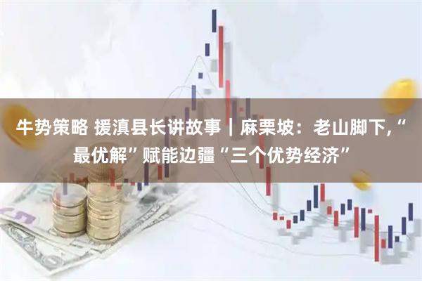 牛势策略 援滇县长讲故事｜麻栗坡：老山脚下,“最优解”赋能边疆“三个优势经济”