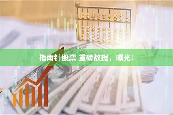 指南针股票 重磅数据，曝光！