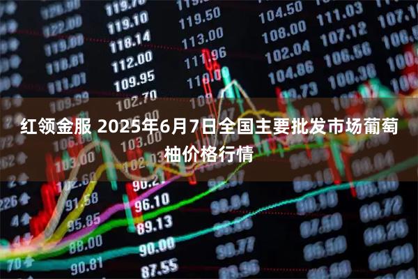 红领金服 2025年6月7日全国主要批发市场葡萄柚价格行情