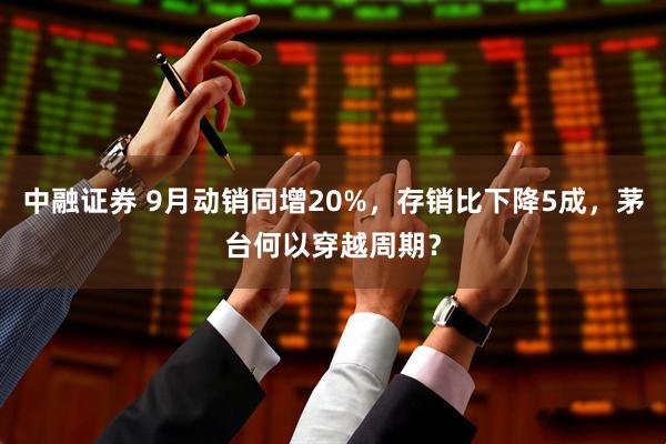 中融证券 9月动销同增20%，存销比下降5成，茅台何以穿越周期？