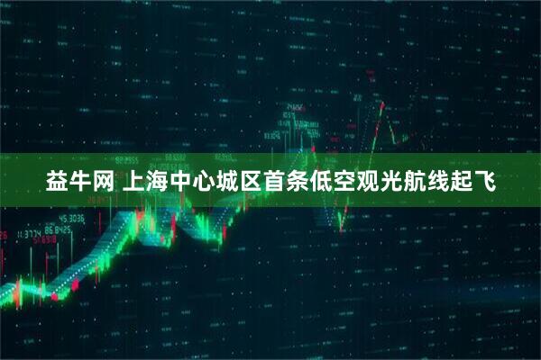 益牛网 上海中心城区首条低空观光航线起飞