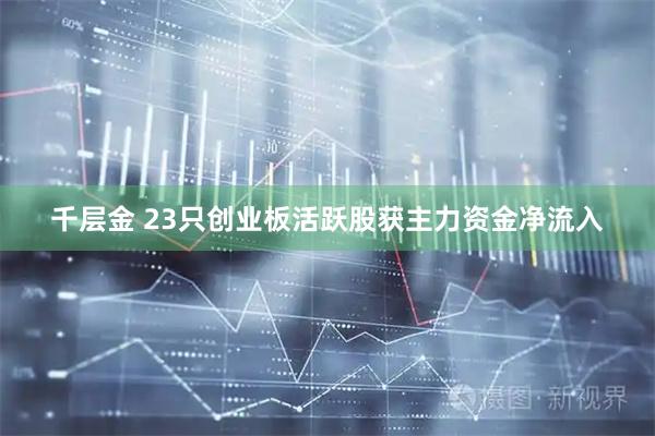 千层金 23只创业板活跃股获主力资金净流入