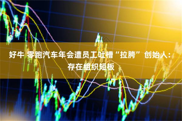 好牛 零跑汽车年会遭员工吐槽“拉胯” 创始人: 存在组织短板