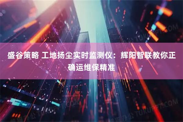 盛谷策略 工地扬尘实时监测仪：辉阳智联教你正确运维保精准