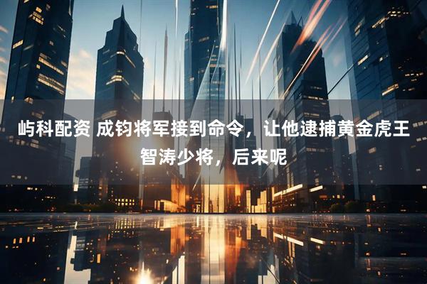 屿科配资 成钧将军接到命令，让他逮捕黄金虎王智涛少将，后来呢